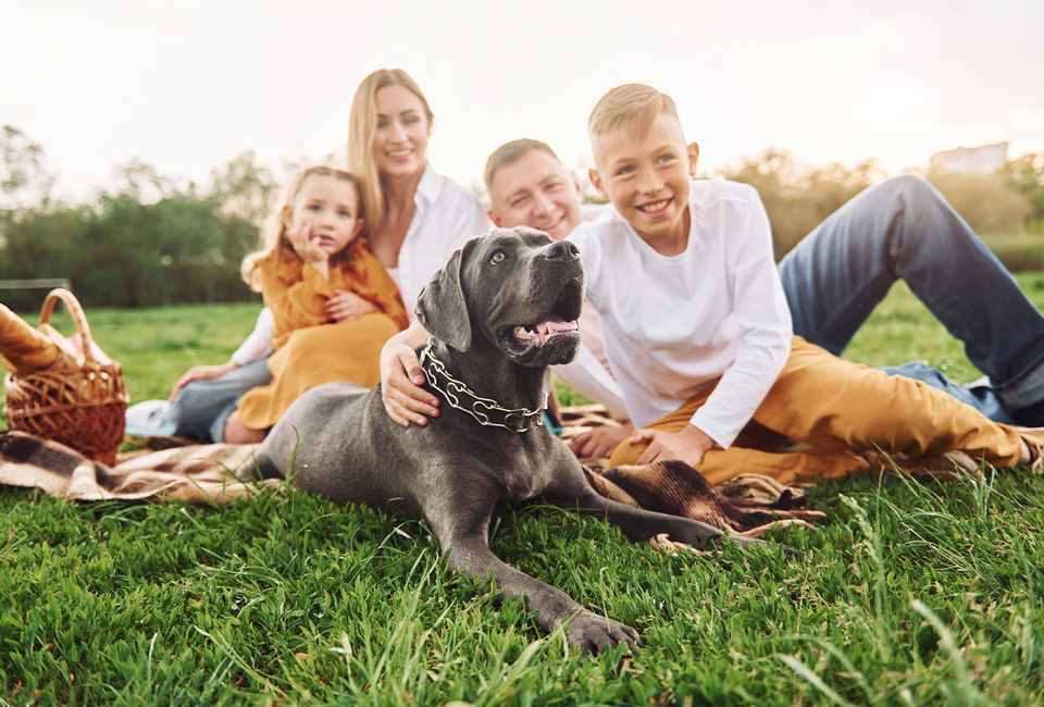 We are pet friendly